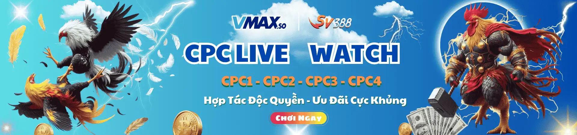banner vmax đá gà