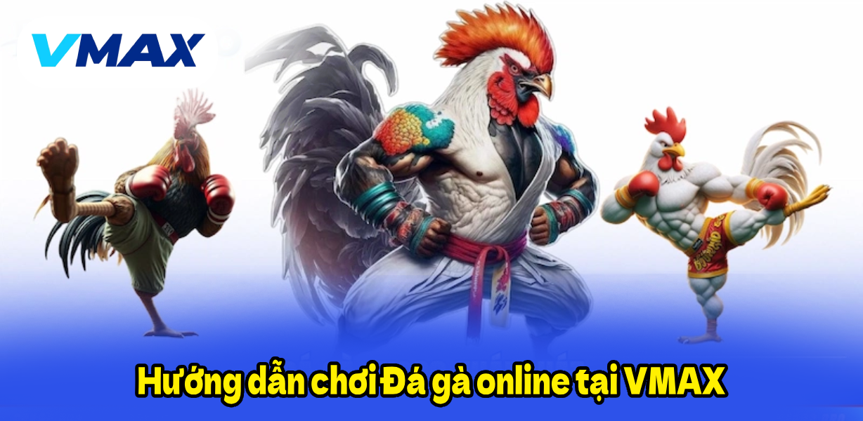 Hướng dẫn chơi Đá gà online tại VMAX