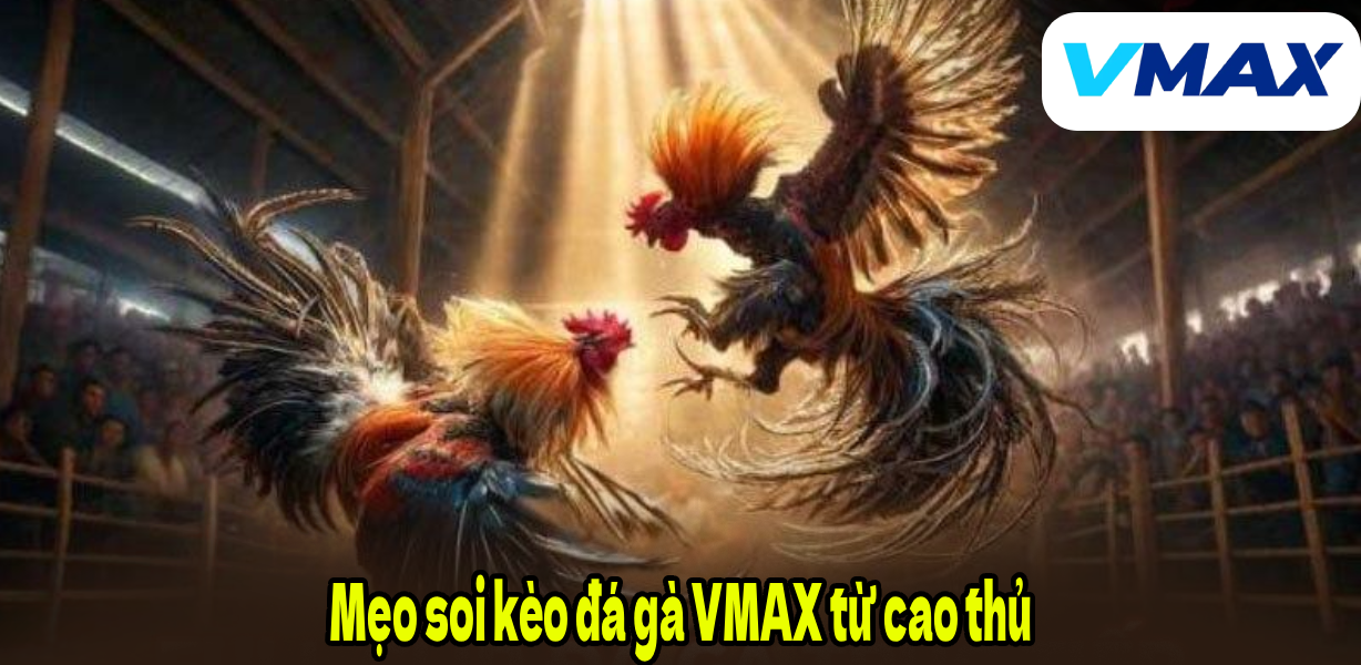 Mẹo soi kèo đá gà VMAX từ cao thủ
